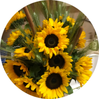 ehmaz-other-flower10