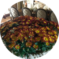 ehmaz-other-flower3