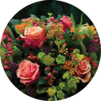 ehmaz-other-flower6