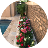 ehmaz-other-pool2